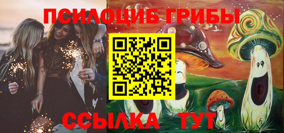 Псилоцибиновые грибы Magic Shrooms  Вход с VPN  Чистополь  Галлюциногенные грибы прущие грибы 