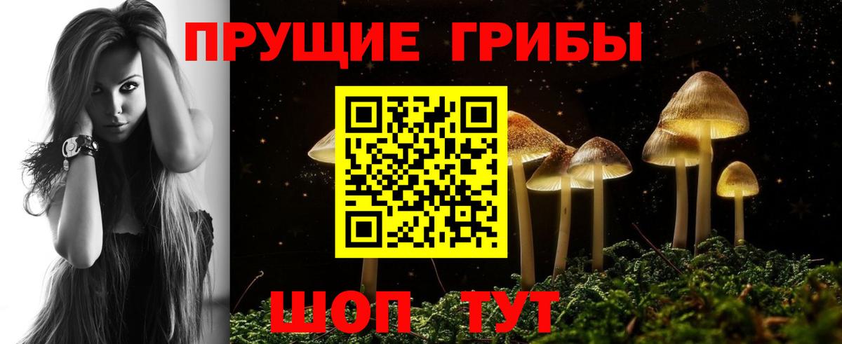 Псилоцибиновые грибы прущие грибы Чистополь